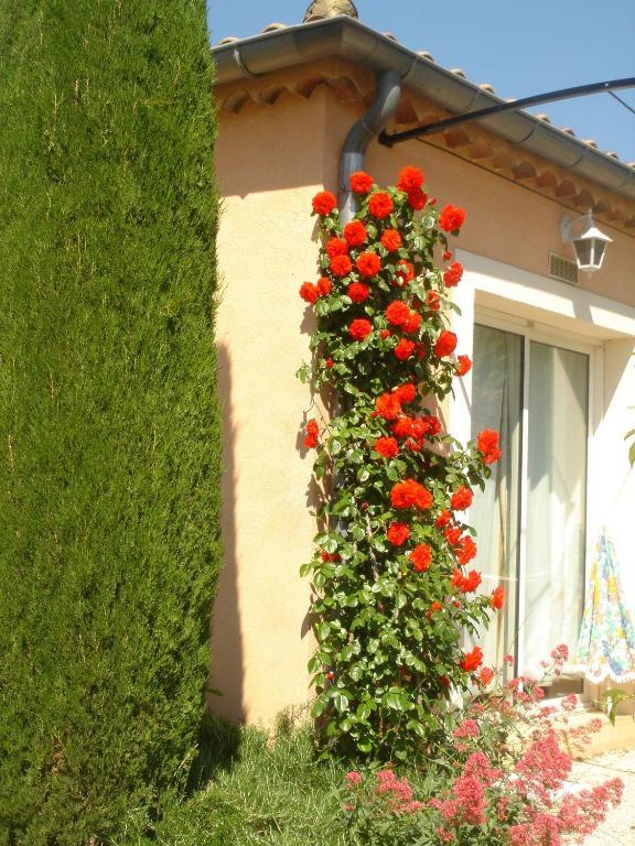 Residence Les Peupliers Loriol-du-Comtat Eksteriør billede